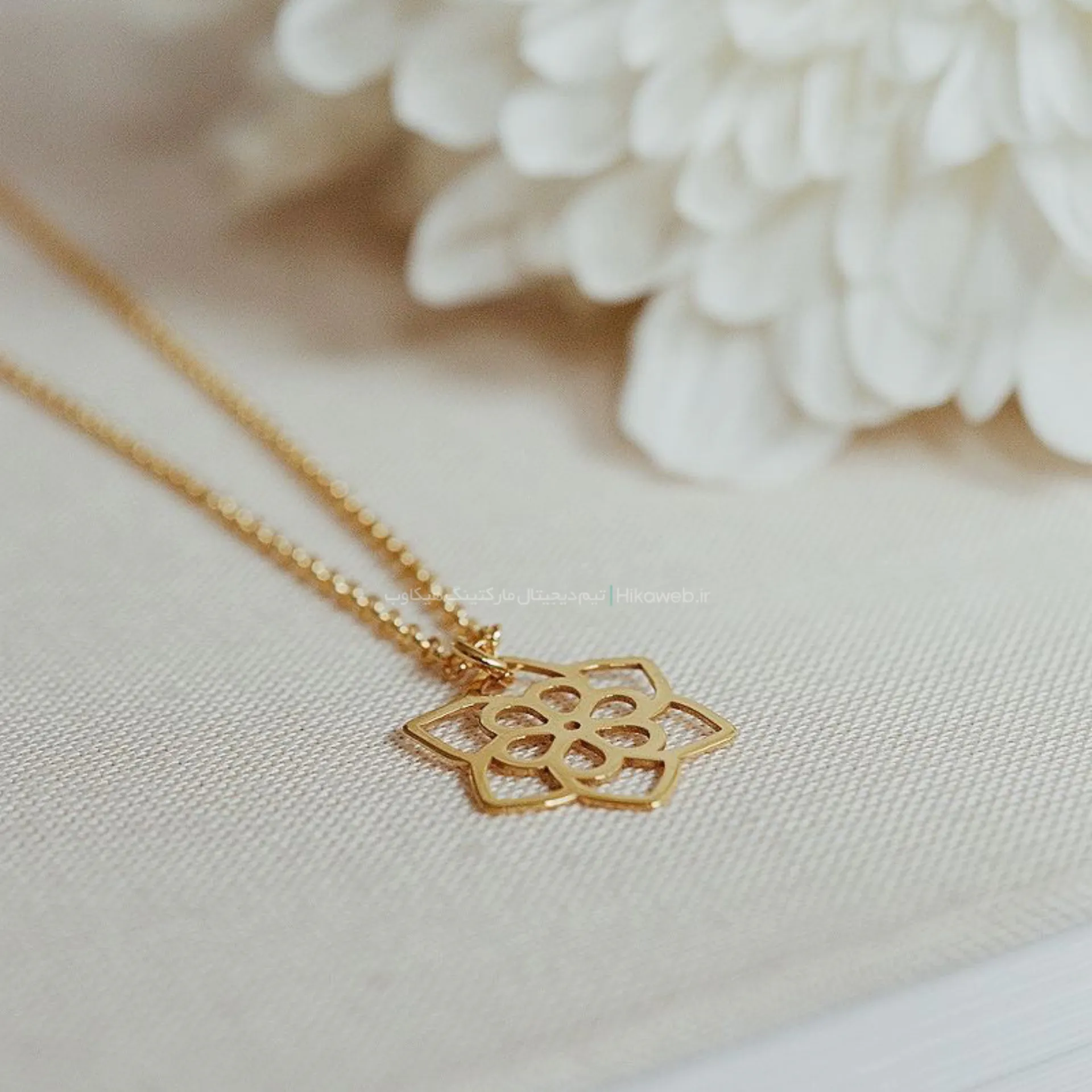 عکاسی طلای  برند
